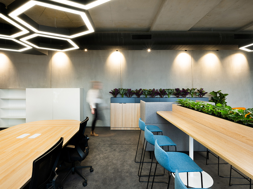 Office with modern hot desking, storage and planters
