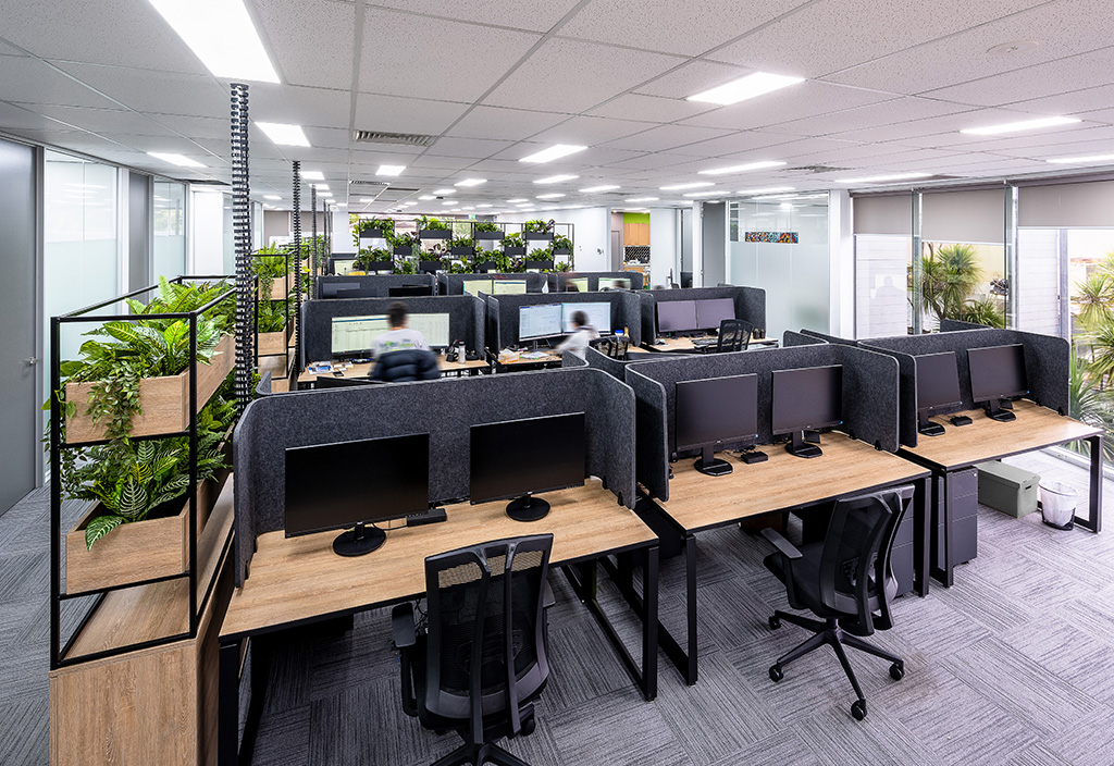 Open plan office with timber plant dividers, timber top workstations, dark grey privacy screens and black mesh task chairs for hot desking
