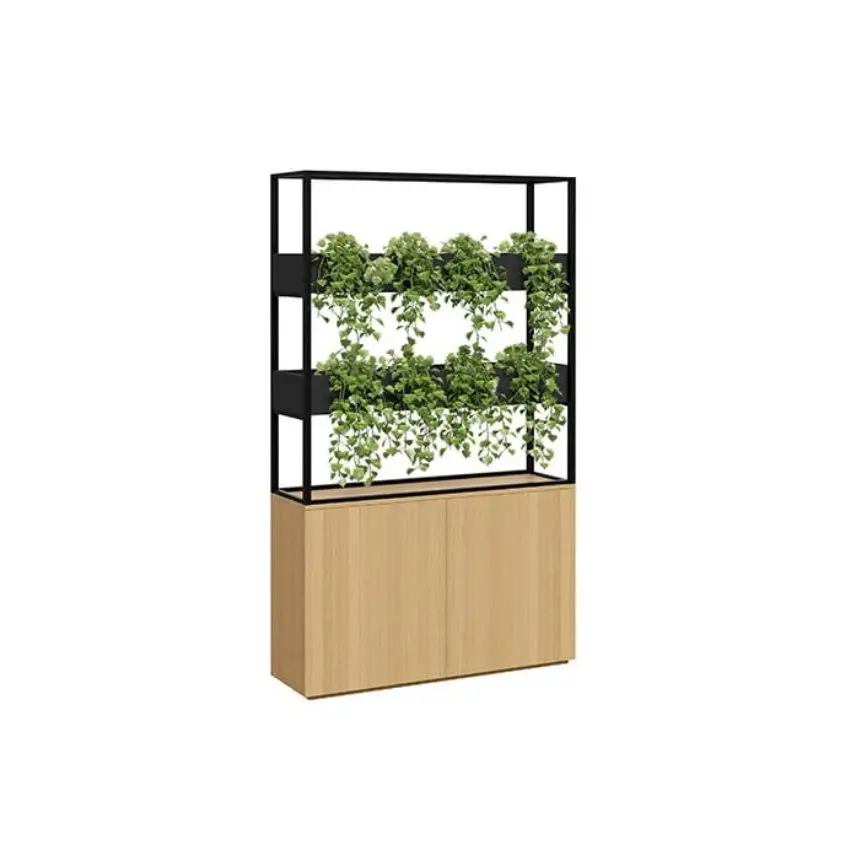 Plant Walls