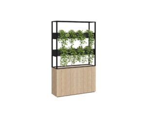 Grand Vertical Garden