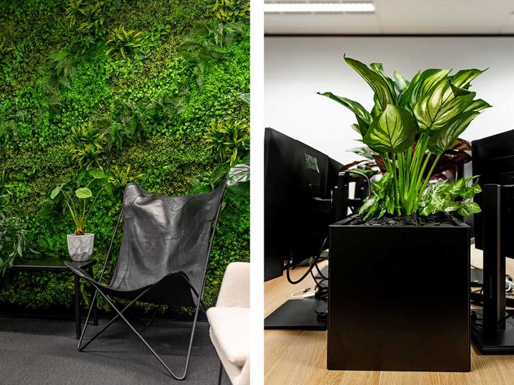 Plenty of greenery and privacy