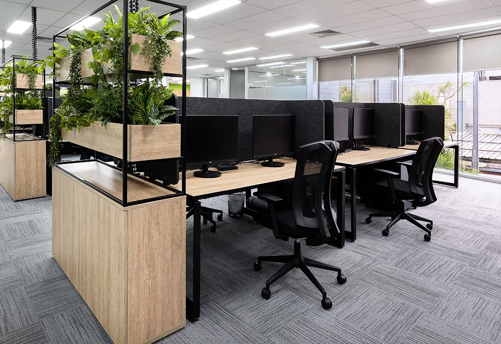 The best way to care for your office plant box