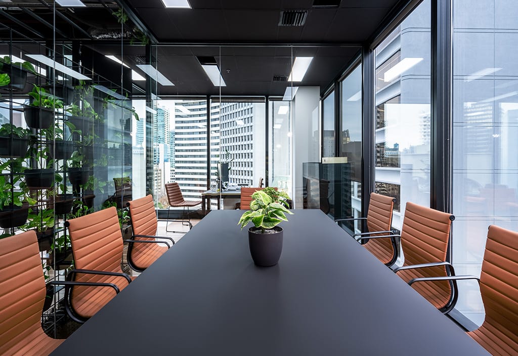 abundance of natural light