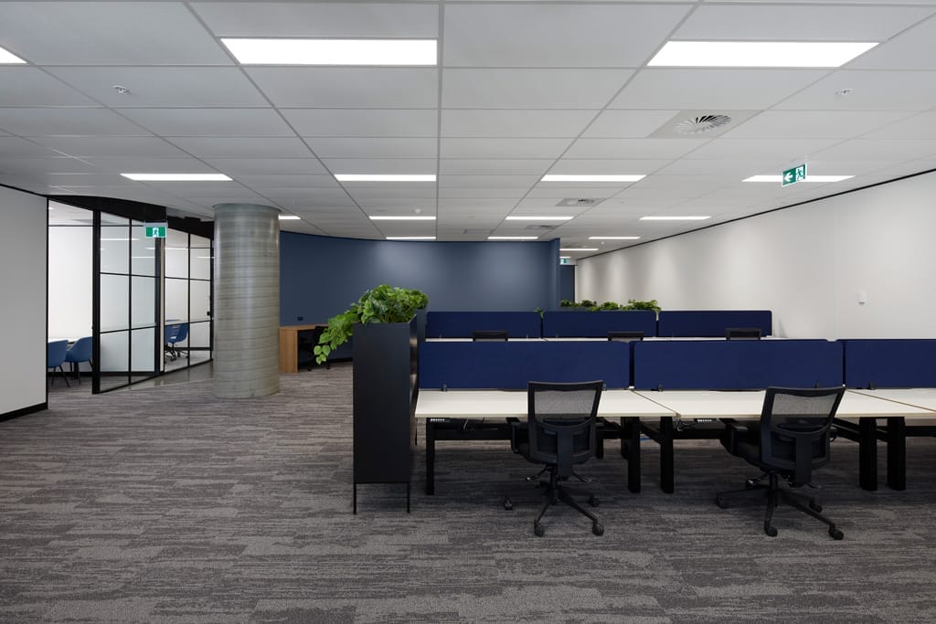 budget friendly and functional