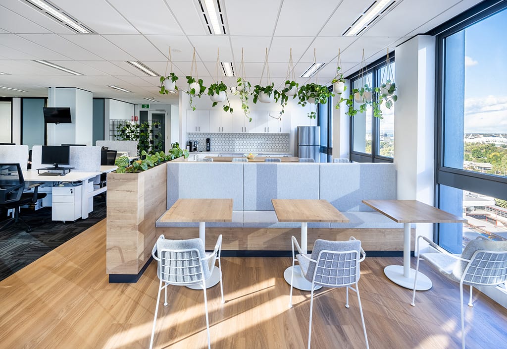 collaborate and help