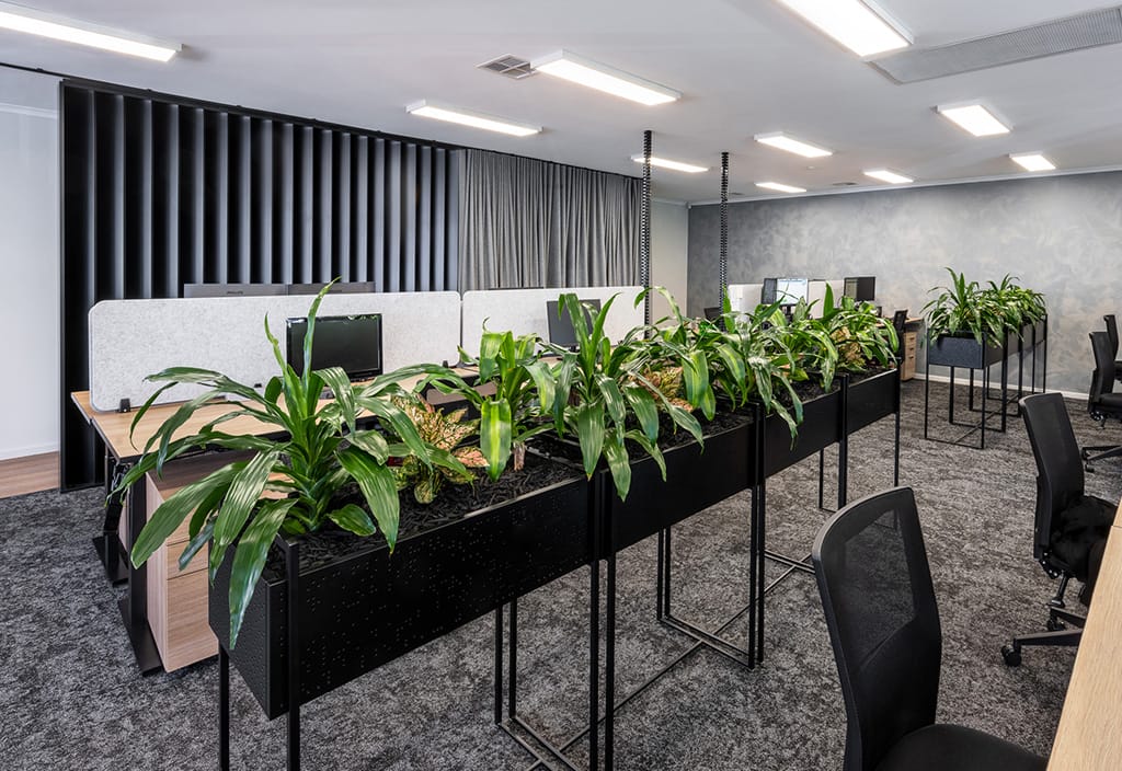 culture inspired office