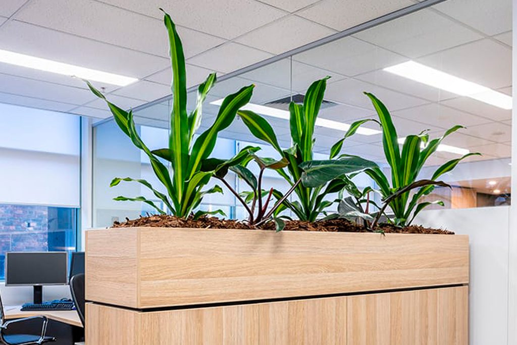 family-like-environment