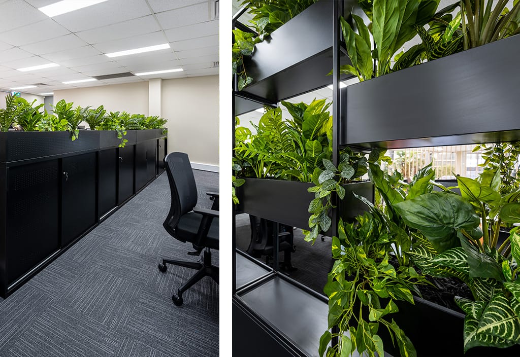 lush green plant dividers