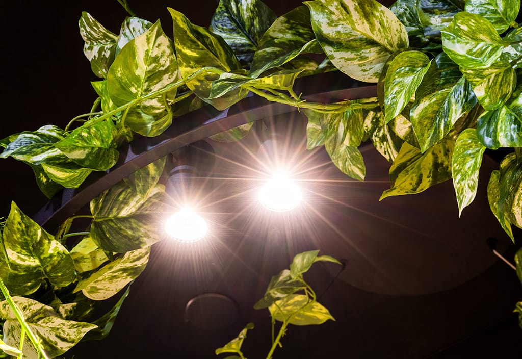 products directly from collections