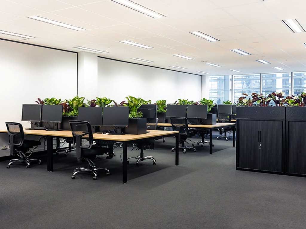 stylish black frames and stunning new oak worktops
