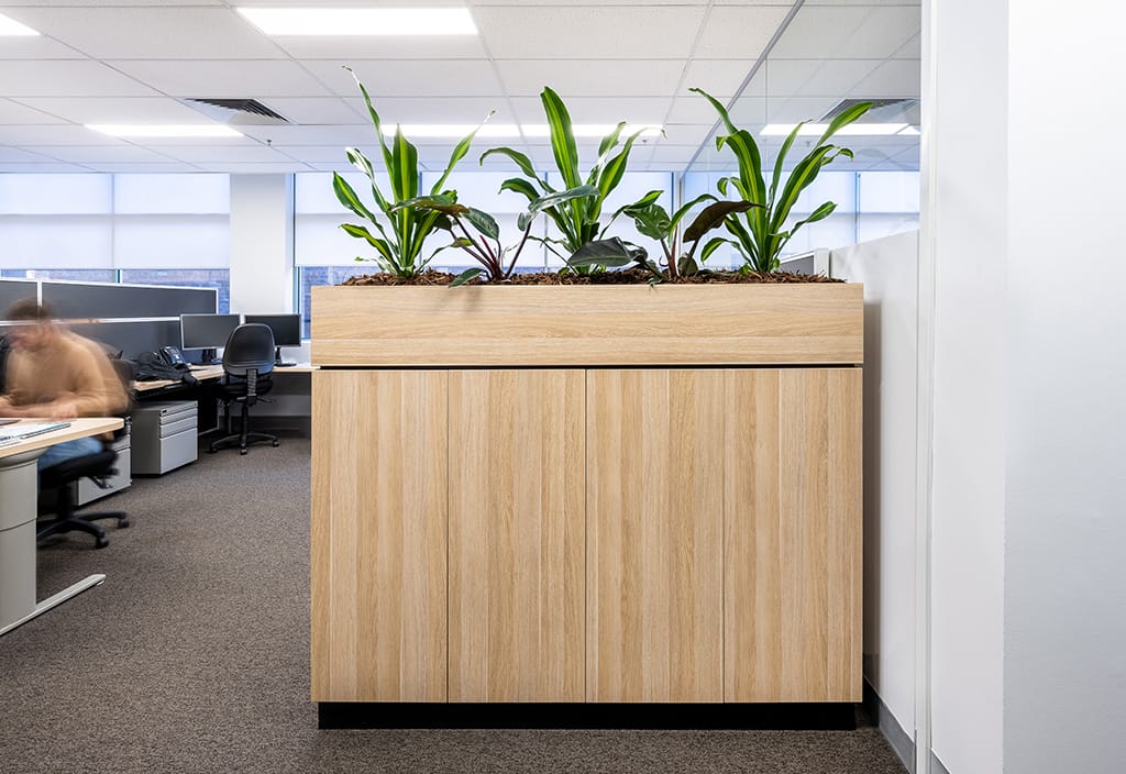 workplace aspirations and project budget