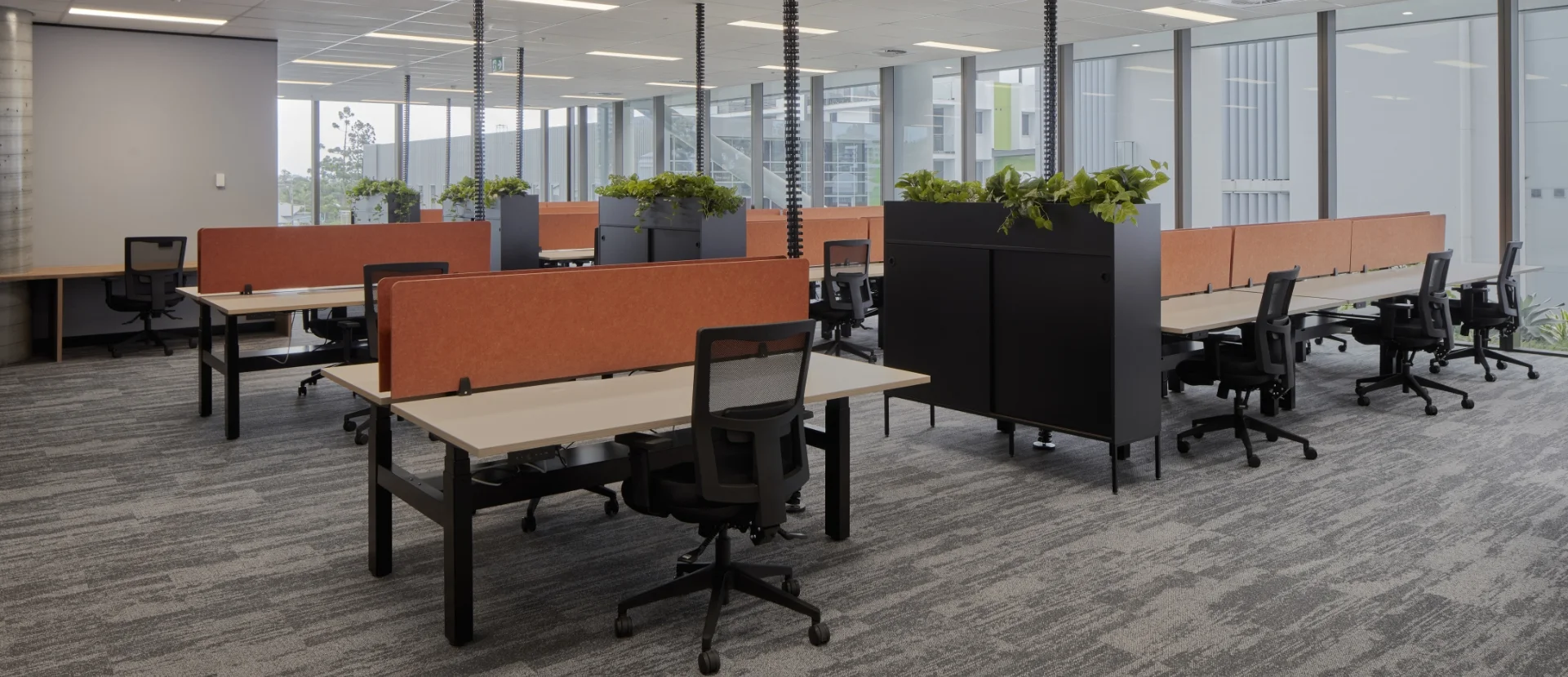 open plan office with height adjustable workstations